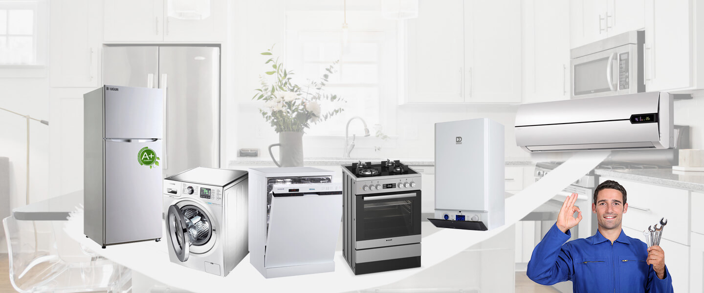 Bağcılar Dominox Servisi